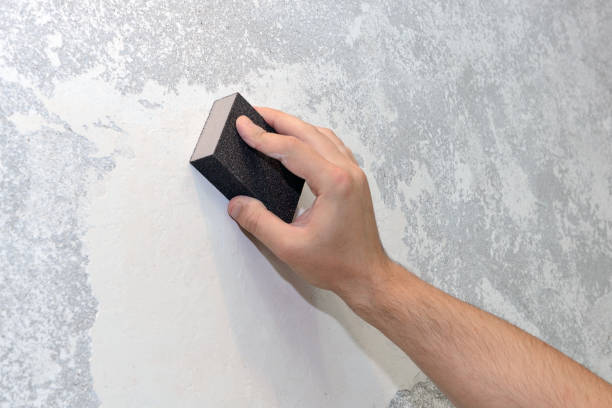 Best Mold Documentation for Insurance Claims  in Jay, OK