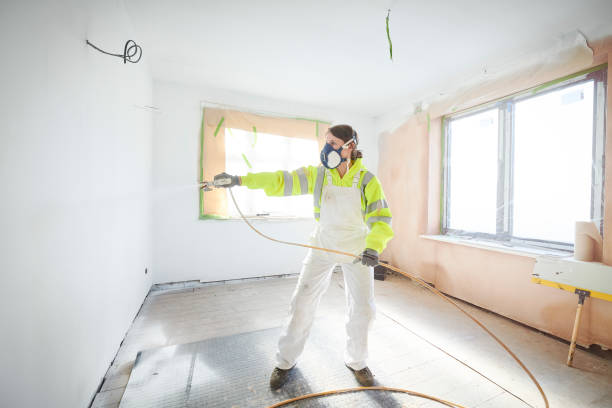 Best Post-Construction Mold Inspection  in Jay, OK