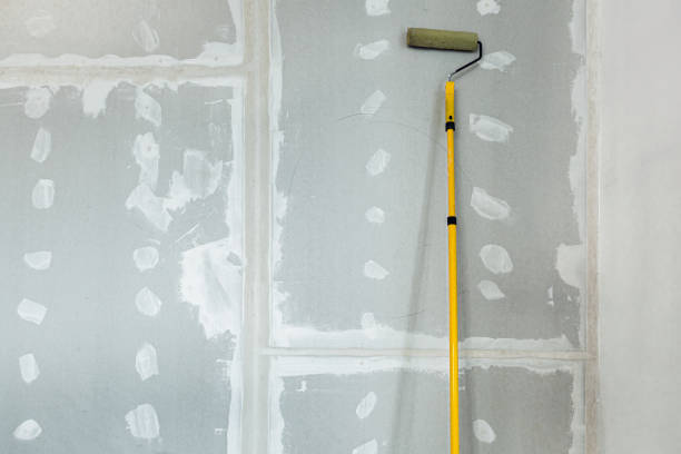 Best Real Estate Mold Inspection  in Jay, OK